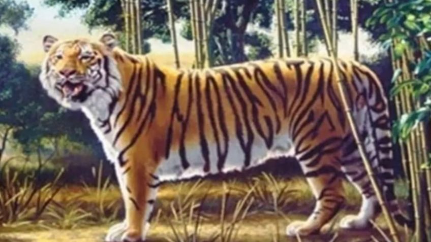 Descubre al segundo TIGRE OCULTO en la imagen y pon a prueba tu agilidad visual; tienes 10 segundos para lograrlo