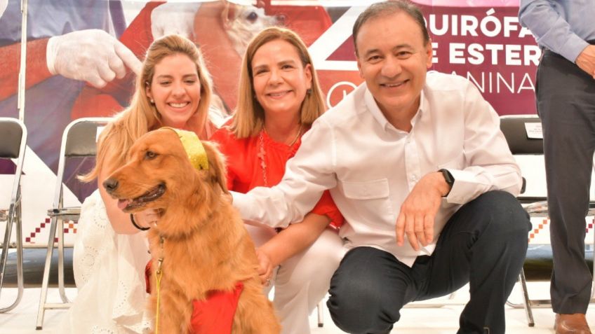 Alfonso Durazo busca detener la sobrepoblación de perros y gatos