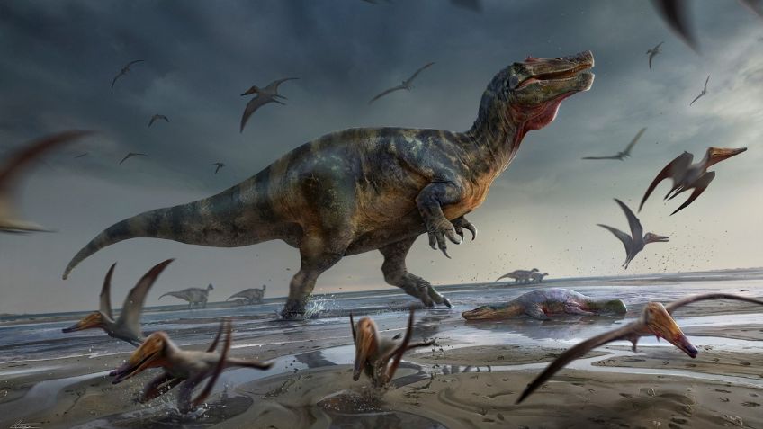 Hallan esqueleto milenario de dinosaurio y lo llaman Espinosaurio de White Rock