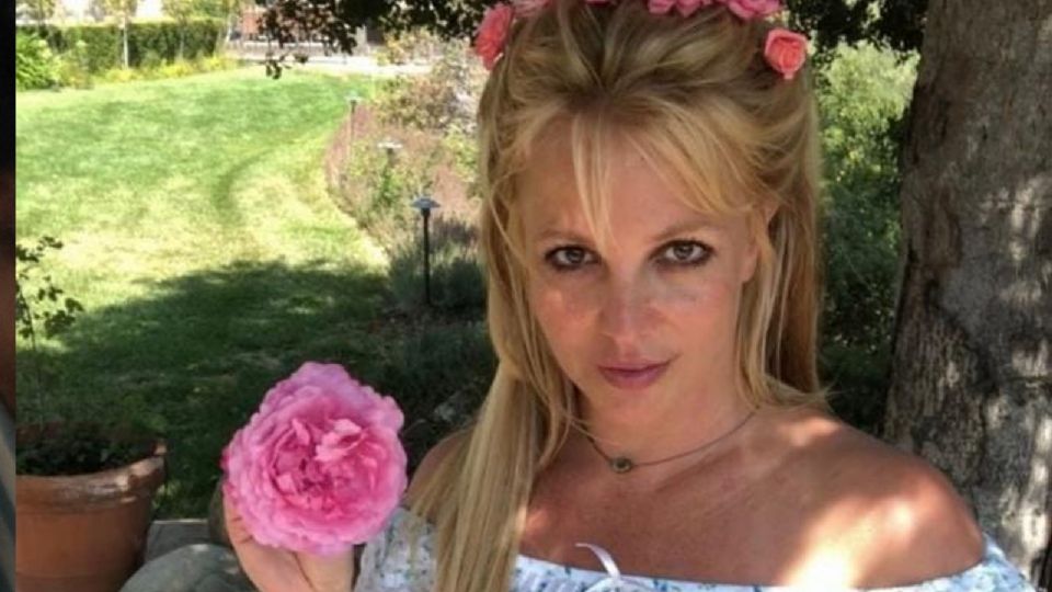 Britney Spears conquistó la red.