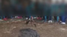 IMÁGENES FUERTES: Con pelea de gallos entretienen a niños de escuela primaria en Aguascalientes; VIDEO desata críticas