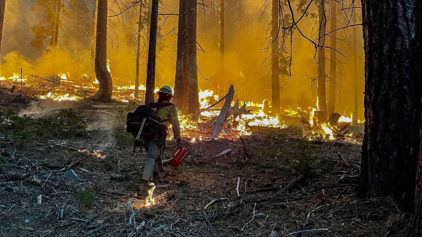 Clima extremo en Estados Unidos: Calor excesivo afecta a Arizona, California y Texas