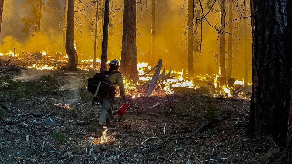 DAÑO GRAVE. En California batallan contra un incendio fuera de control. El fuego arrasó ya casi mil hectáreas