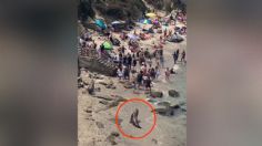 El viral momento en que dos leones marinos ahuyentan a turistas de la playa | VIDEO