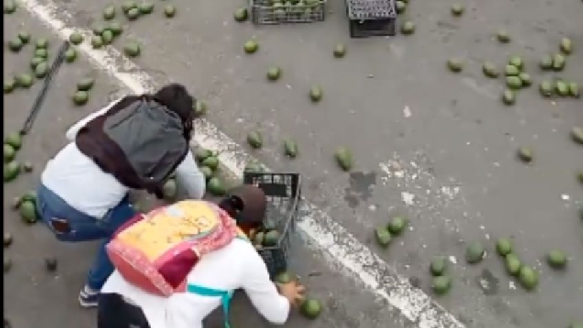 ¡Rapiña de aguacates! Camioneta vuelca en la carretera Puebla-Tlaxcala y pobladores se los roban en minutos: VIDEO