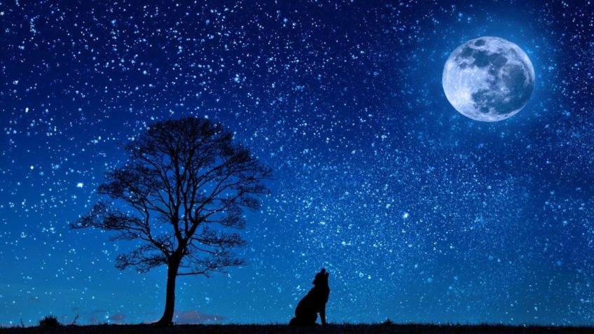 Horóscopos 2022: 3 signos del zodiaco que se beneficiarán con la luna llena de julio