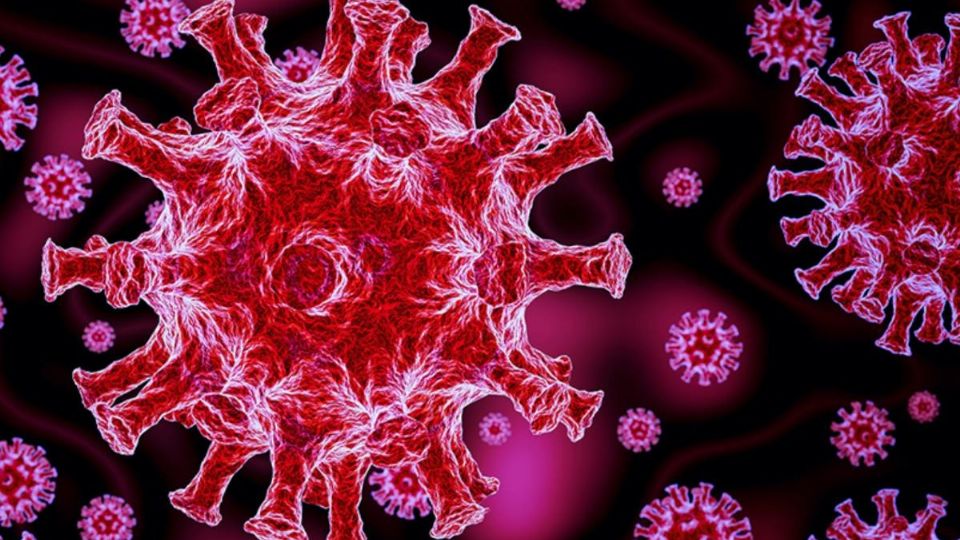 El virus ha mutado en miles de cepas desde el origen de la pandemia