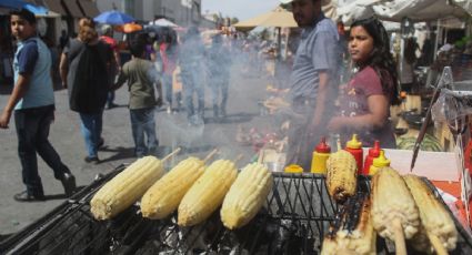 Desde esquites hasta nieves! Feria del Elote CDMX 2022: Fechas, precios y  lugar | El Heraldo de México