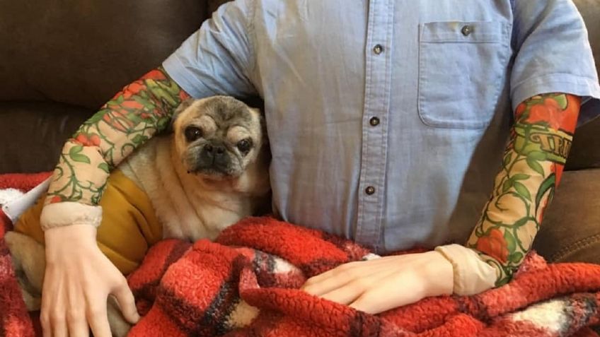 Disfrazan a maniquí como dueño de perrito pug; no soportaba estar lejos de él