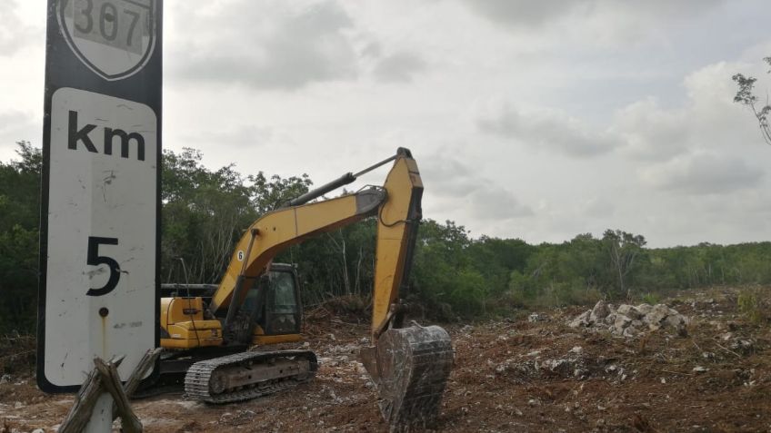 Fonatur inicia desmonte de selva en Puerto Morelos por Tren Maya 