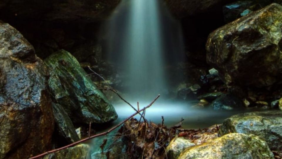 Este reto visual se ha convertido en uno de los favoritos de los internautas. FOTO: Especial