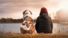 Mascotas: Cinco bocadillos comunes que no debes darle a tu PERRO