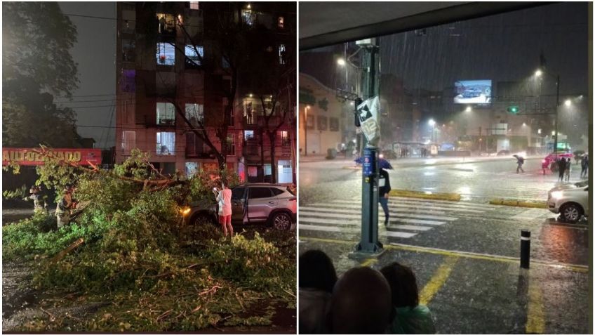 Lluvias y granizo desata inundaciones y caída de árboles en el Valle de México | VIDEOS