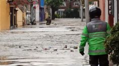 Inundación en Xochimilco: Policías rescatan a niños atrapados en automóviles | VIDEO