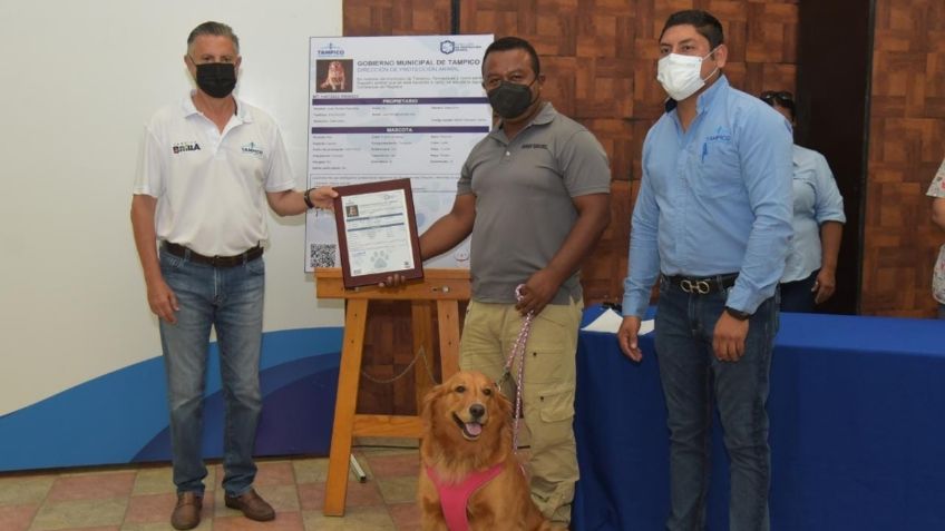 Mascotas tendrán acta de nacimiento en Tampico