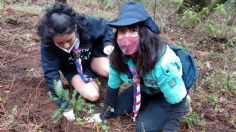 Scouts en CDMX reforestan el Parque Nacional Los Dinamos