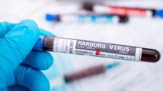 Cómo evitar el virus de Marburgo, la nueva enfermedad infecciosa de África