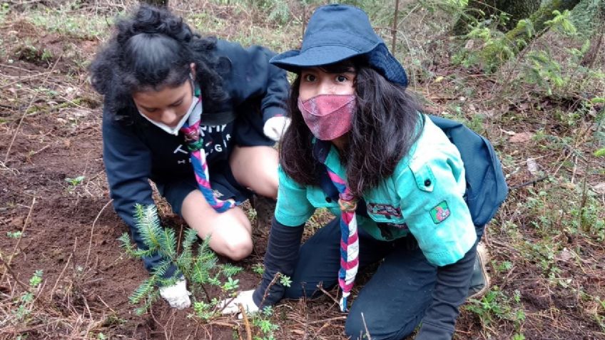 Scouts en CDMX reforestan el Parque Nacional Los Dinamos