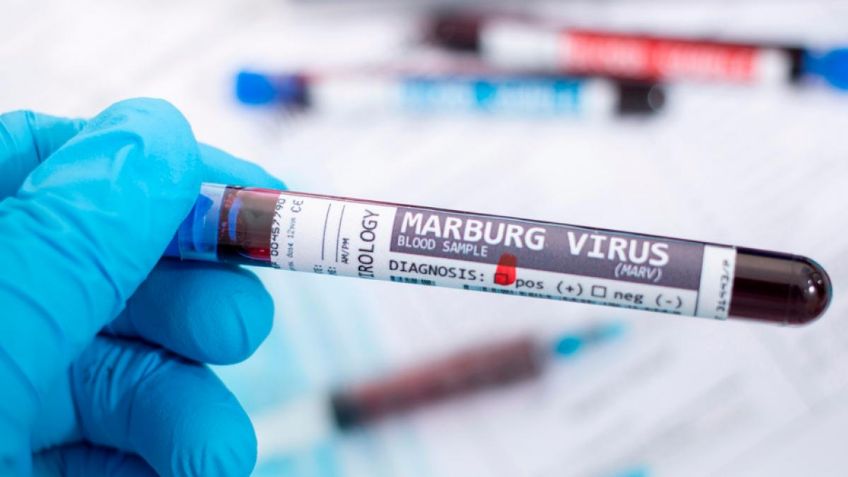 Cómo evitar el virus de Marburgo, la nueva enfermedad infecciosa de África