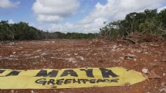 Argumento de AMLO para retomar las obras del Tren Maya es arbitrario, asegura experto