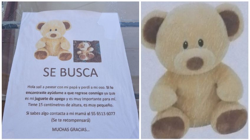 Niño de 2 años pierde a “Señor Osito”; sus papás reparten carteles con su foto en Toluca