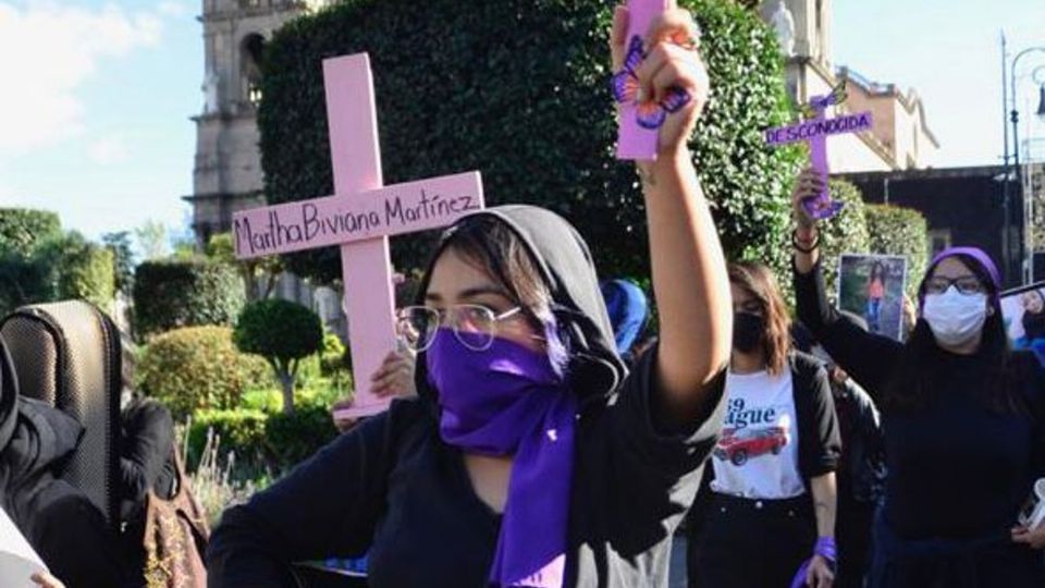 “Hoy la ley dice que la alerta se impone cuando la violencia sea tal que altere el orden social, esto es sumamente subjetivo”