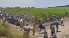 Habitantes de Tamaulipas rapiñan piernas de cerdo de un camión volcado | VIDEO