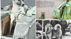 Día del perro: los canes más famosos de la historia | FOTOS