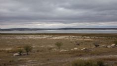 Presa Cerro Prieto se recupera por las lluvias; extracción de agua regresaría en agosto