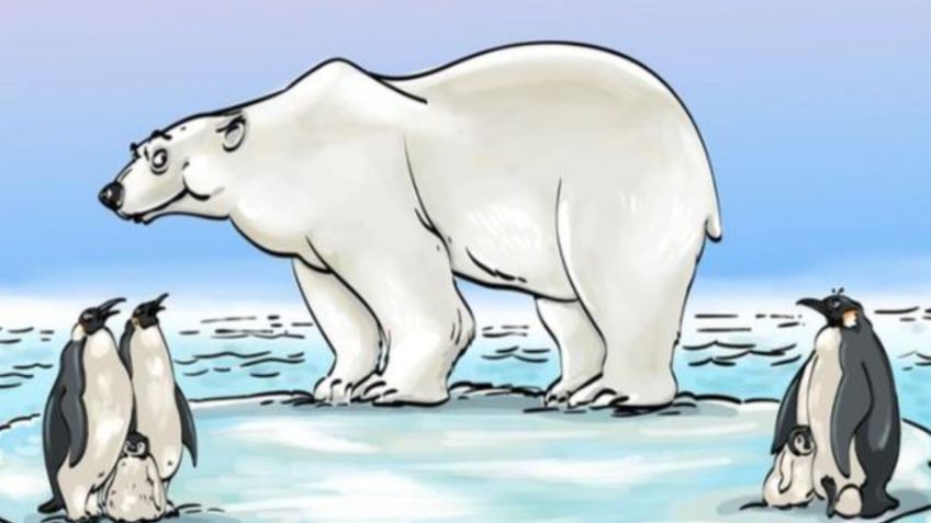 Test Viral: Ubica el ERROR de lógica en el OSO POLAR y supera el récord; solo tienes 5 segundos