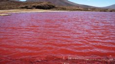 Científicos descubren un “pozo de la muerte” en el fondo del Mar Rojo que asesina a cualquier ser vivo