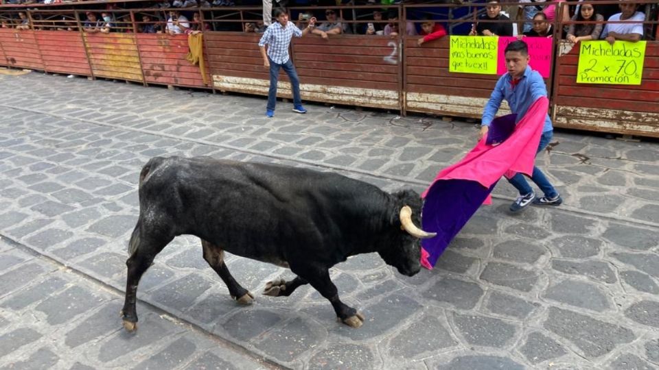 El ayuntamiento de Xico emitió el Reglamento de Protección y Bienestar Animal,para permitir la suelta de toros, conocida como Xiqueñada.