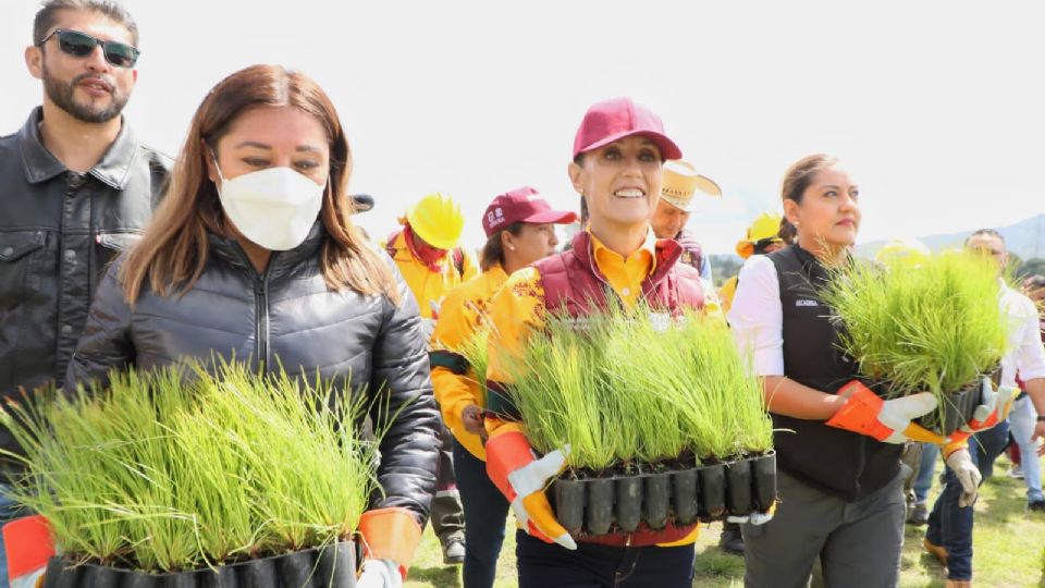 La líder de la capital aseguró que esta práctica ayuda al ambiente