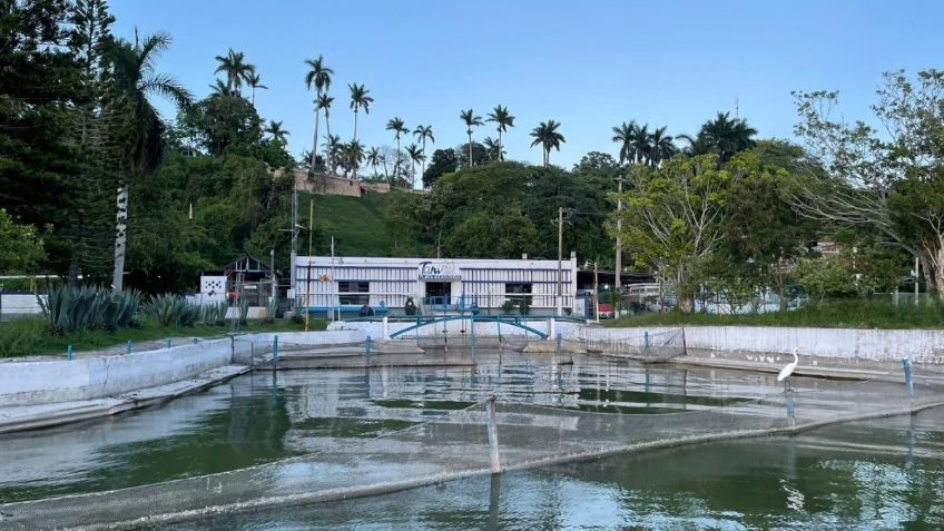 Tampico: garantizan el abasto de agua, pero piden cuidarla