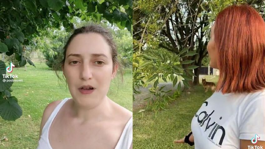 “Arbolito toca mi hombro”: nuevo reto viral de TikTok probaría conexión con la naturaleza