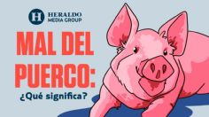 Frase Mexicana: "Mal del puerco", descubre su origen y significado