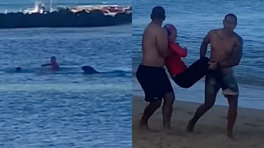 VIDEO capta el momento exacto en que una mujer nada desesperadamente para no morir atacada por una foca