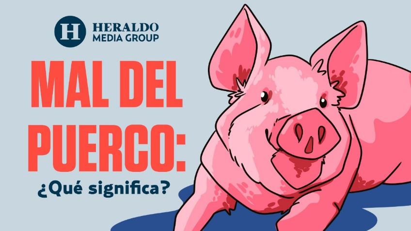 Frase Mexicana: "Mal del puerco", descubre su origen y significado