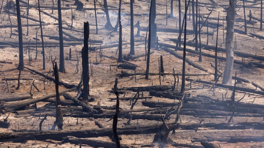 Estados Unidos: Avanza contención de incendio cerca del Parque Nacional Yosemite, en California