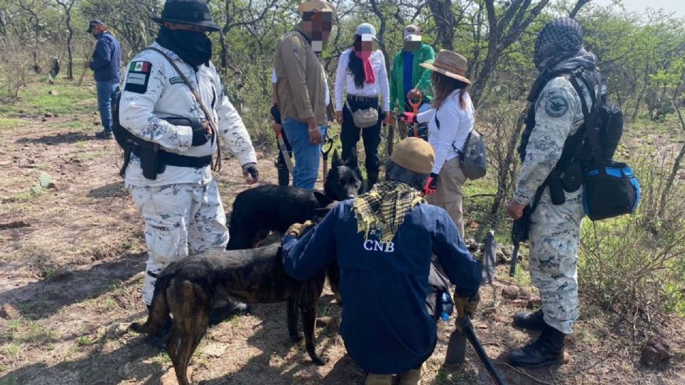 La CNBP lanza convocatoria para postularse a diversos puestos de trabajo