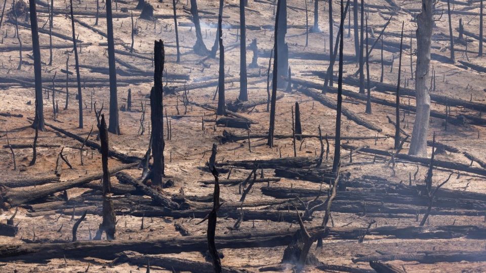 CALIFORNIA. Estragos de los incendios que han devastado una parte del parque Yosemite