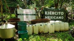 Guardia Nacional en coordinación con el Ejército Mexicano localizaron dos laboratorios clandestinos en Sinaloa