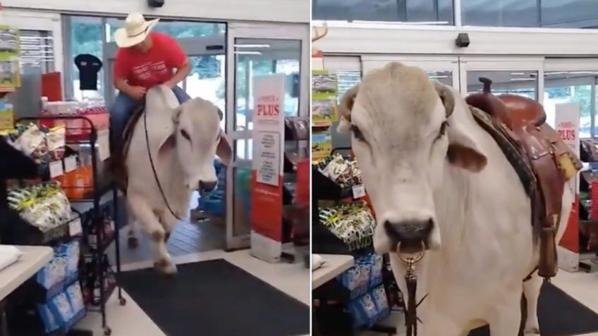 Hombre va de compras al supermercado en el lomo de un toro y VIDEO se vuelve viral