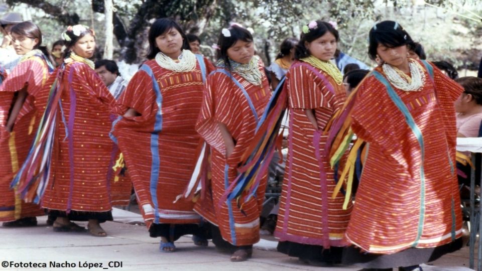 A lo largo de la historia de México, han desaparecido alrededor de 160 comunidades indígenas