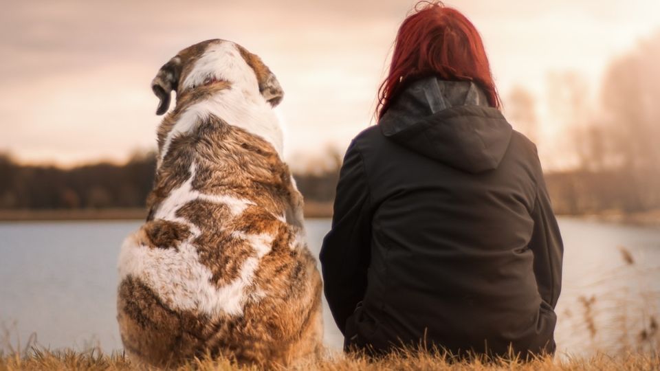 Tras perder a su mascota, algunas personas experimentan un duelo después de la muerte de su mejor amigo peludito