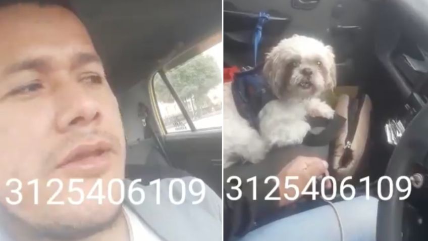 Hombre abandona a un perrito "viejito" en un taxi con instrucciones para cuidarlo: VIDEO