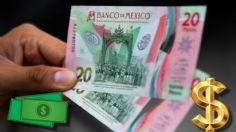 Ofrecen billete nuevo de $20 por 350 mil pesos