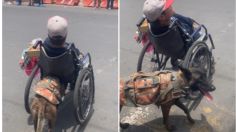 VIDEO: Perrita que empuja silla de ruedas de joven con discapacidad reaparece y enternece TikTok