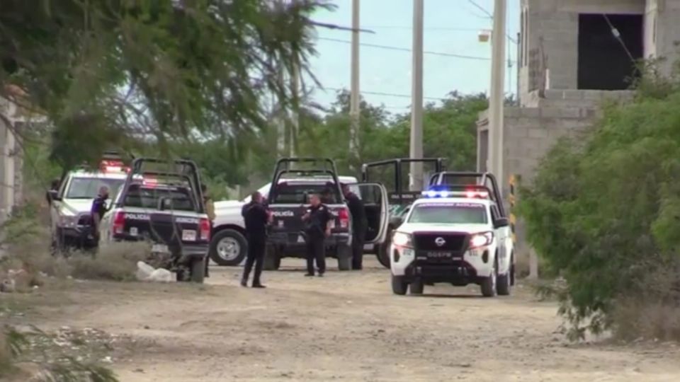 Por más de dos horas una perrita entrenada de la CEBP de nombre Atena se perdió.