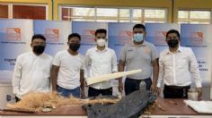 En Oaxaca, estudiantes zapotecas del TecNM desarrollan aspas para aerogeneradores con cáscara de coco